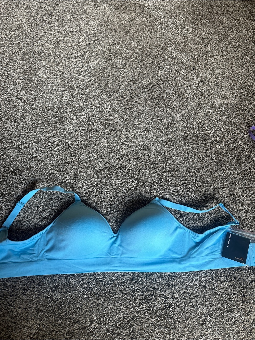 NWT: The Secret Infinite Support Bra - Baby Blue